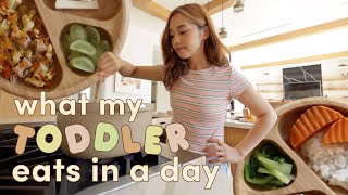 What My Toddler Eats In A Day