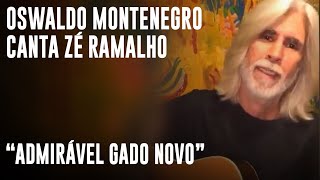 Admiravel Gado Novo Music Video