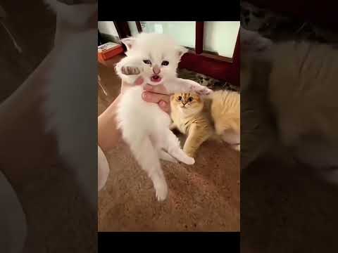 ammaye orupad ishtam 💕💕💕