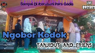 Download lagu NGOBOR KODOK - LIVE BREBES PULOSARI VERSI TANJIDUT mp3 Download lagu NGOBOR KODOK - LIVE BREBES PULOSARI VERSI TANJIDUT mp3