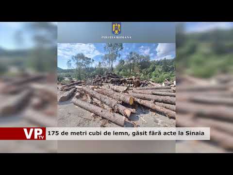 175 de metri cubi de lemn, găsit fără acte la Sinaia