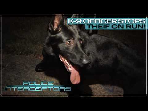 Police Dogs Help Catch Thief! | Police Interceptors FULL EPISODE