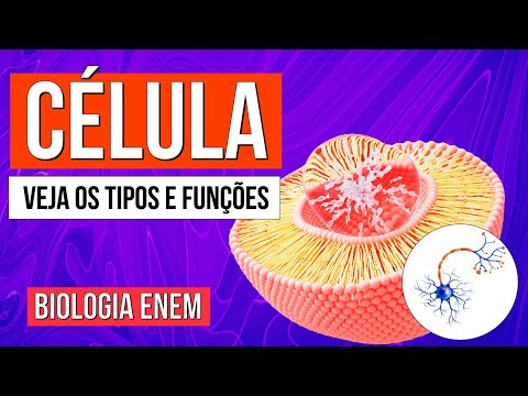 CÉLULA: O que é, Funções, Tipos e Estrutura básica das Células | Biologia Enem. Profe Claudia Aguiar