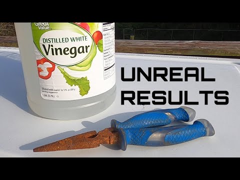 Using Vinegar to EASILY remove rust from any tool
