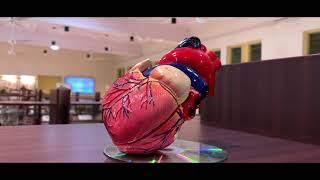 Department of Anatomy - JSS Medical College, Mysuru
