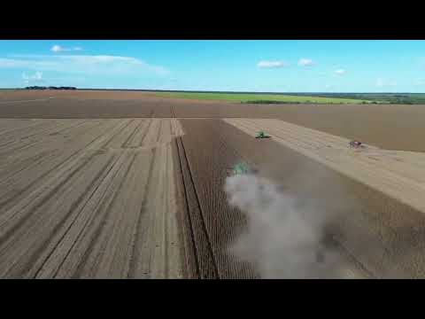 Colheita 2026 Paranatinga, Santiago do Norte