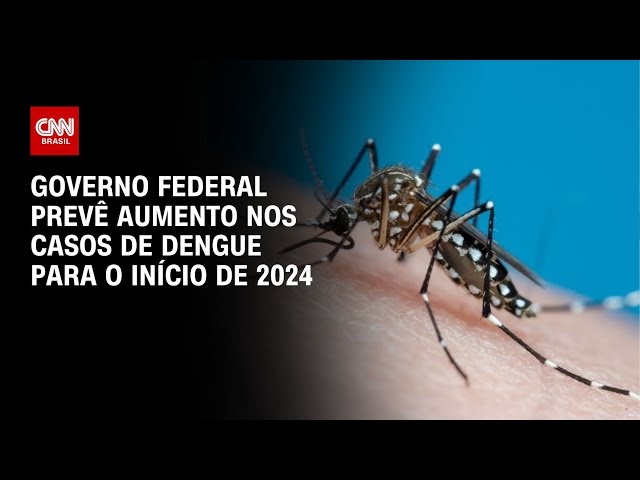 Governo federal prevê aumento nos casos de dengue para o início de 2024 | LIVE CNN
