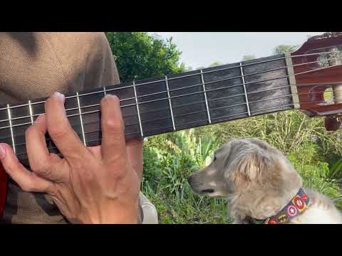 Ansias del Alba - Santiago Feliú