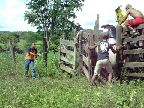 mão de onça creu.MOV