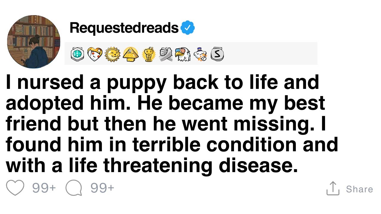 [FULL STORY] Veterinarians, what’s your most memorable day on the job?