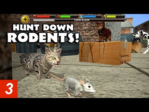 Stray Cat Simulator - Part 3- By Gluten Free Games -Compatible with iPhone, iPad, and iPod touch - YouTube