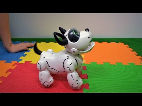 Собака робот PupBo - как настоящий щенок! Игрушки Silverlit - Видео для детей