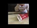 Lotus Biscoff Ice Cream Sticks Review