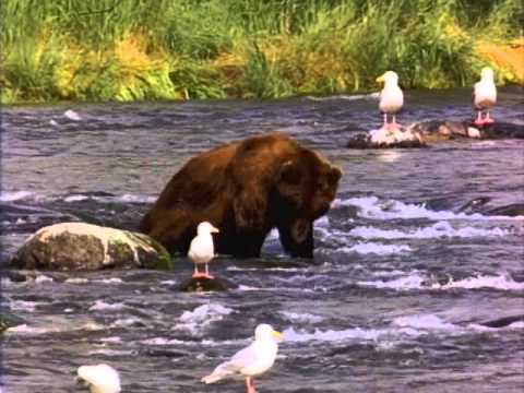 Petrol Pete & The Heliums