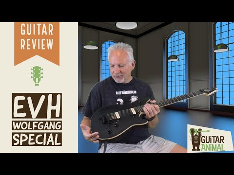 EVH Wolfgang WG Special Guitar with Ebony Fingerboard - Stealth Black image 15