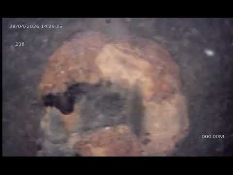 Extracto 238 - Angaco - San Juan