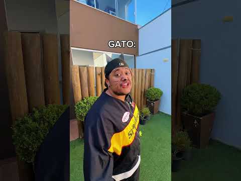 CACHORRO VS GATO #shorts