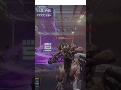 Fair Judgment #d2 #destiny2 #fair