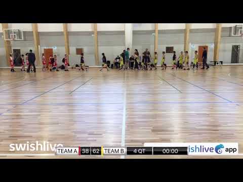 U11 8.forduló (Telki) BKG PRIMA Akadémia U11 SZIGET - BKG Veresegyház