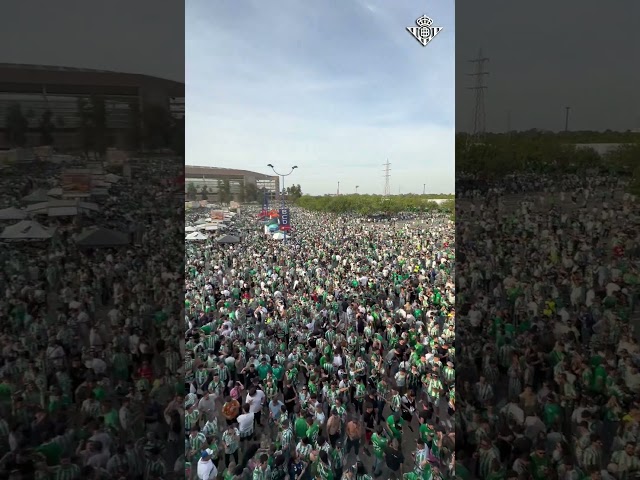 Vídeo relacionado con Mucho Betis - Afición Real Betis Balonpie - Hinchas Sevilla Camiseta, Hombre, Verde Kelly, L