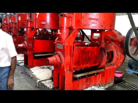 Cashew Shell Oil Expeller Machine