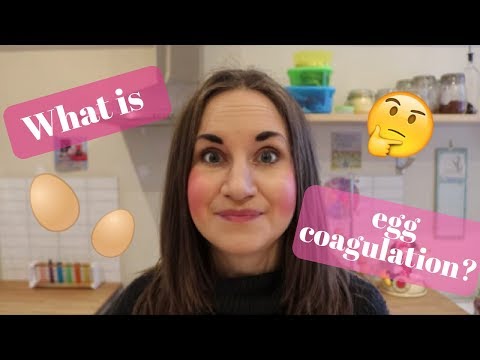 download lagu mp3 mp4 Egg Coagulation Definition, download lagu Egg Coagulation Definition gratis, unduh video klip Egg Coagulation Definition