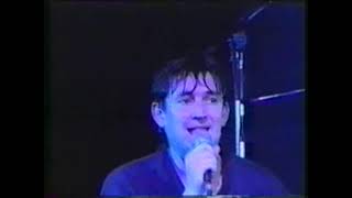 Woman In The Wall - The Beautiful South - Rock Of The North