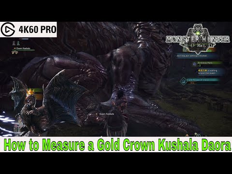 Monster Hunter: World - How to Measure a Gold Crown Kushala Daora Video