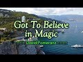 Got To Believe In Magic David Pomeranz KARAOKE VERSION