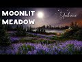 🌕 Moonlit Spring Meadow ASMR Ambience ⭐️🦉 Campfire, Crickets, Owls, Gentle Lapping Waves