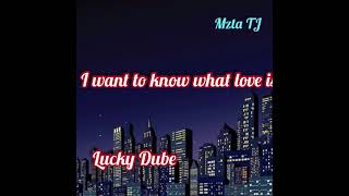 Lucky Dube- I want to know what love is- lyrics