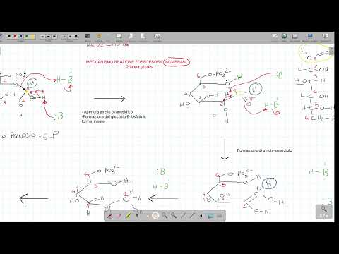 Biochimica | TAPPA 2 GLICOLISI ( meccanismo di reazione fosfoesosio isomerasi)
