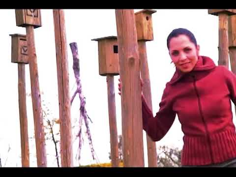 Turkey's Postcard - Eurovision 2003