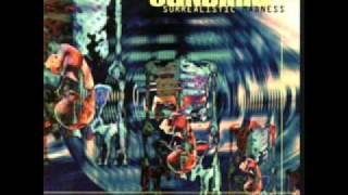 CANDIRIA - ELEVATE IN MADNESS