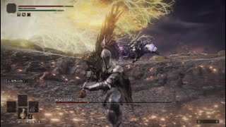 降る星の成獣と出会った。