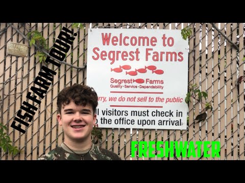 Segrest Fish Farm Tour (Freshwater)