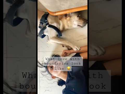 Love is important but space with love is also important 😂  #love