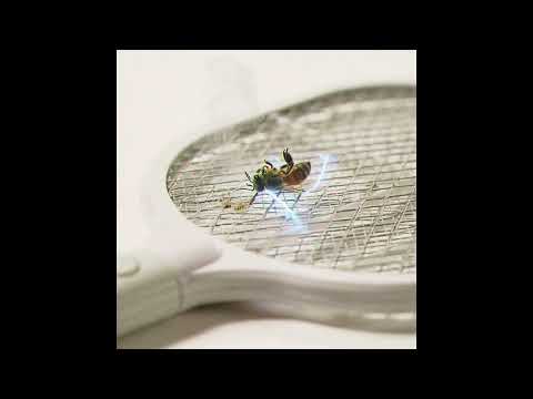 CHIP - PEST CONTROL (VISUALISER)