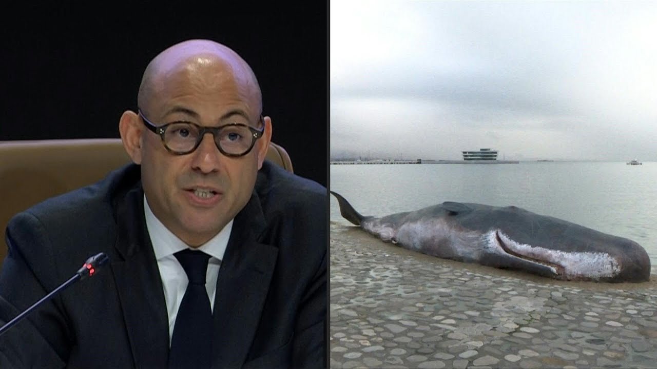 COP29 tem cinco dias para alcançar acordo de financiamento do clima | AFP