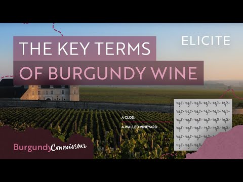 Burgundy Wine Terminology