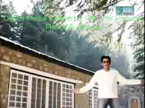 Ali Sher - Chaar Dina Da.wmv