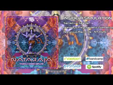 Sensitive Seeds - Inside a Simulation