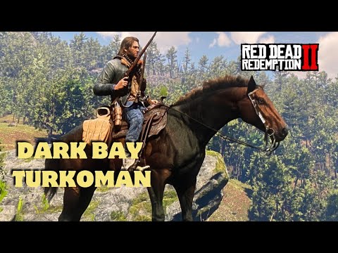 Dark Bay Turkoman Location – Get It Early in Chapter 3 (RDR2 Horses Guide)