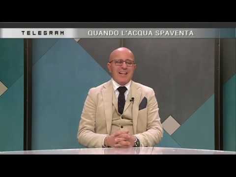 TELEGRAM 13.11.2019 con Marco Bottino e Leonardo Calistri