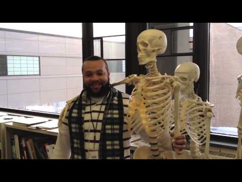 NVCC Academic Center for Excellence 2014