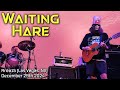 Waiting Hare | Buckethead 4K (LIVE) at Area15 (Las Vegas 2024)