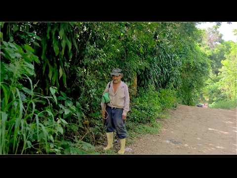 El Salvador Por Dentro 🇸🇻 La Finquita