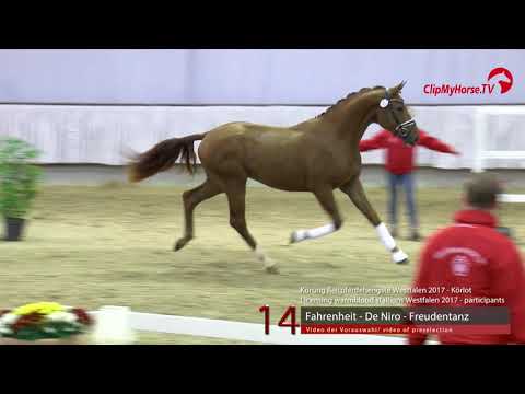 14 Junghengst v. Fahrenheit -  De Niro