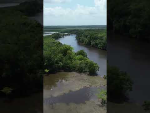 Rio Cajari, Triplice fronteira dos municípios de Laranjal do Jari, Vitória do Jari e Mazagão