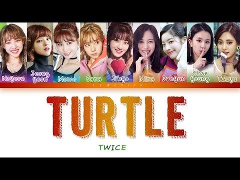 Download Twice Turtle Mp3 Free And Mp4 Download Twice Turtle Mp3 Free And Mp4